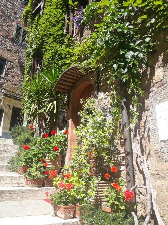 La Piazzetta Toscana B&B Campiglia Marittima Eksteriør billede